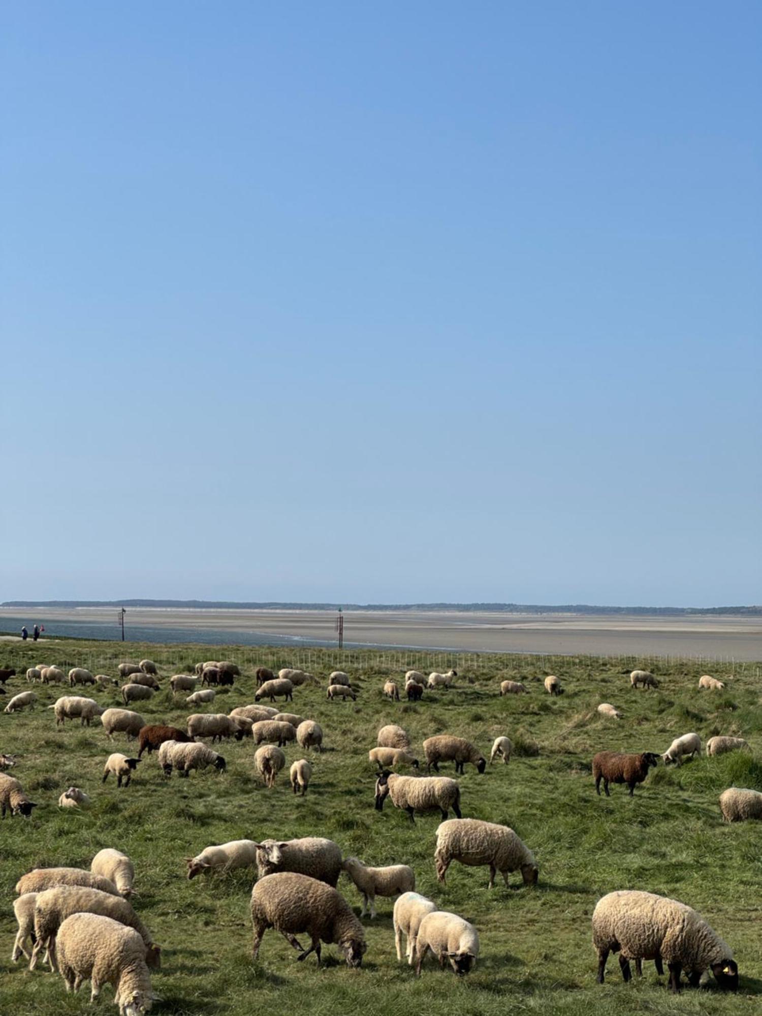 Gite Du Flot - Baie De Somme Boismont  المظهر الخارجي الصورة