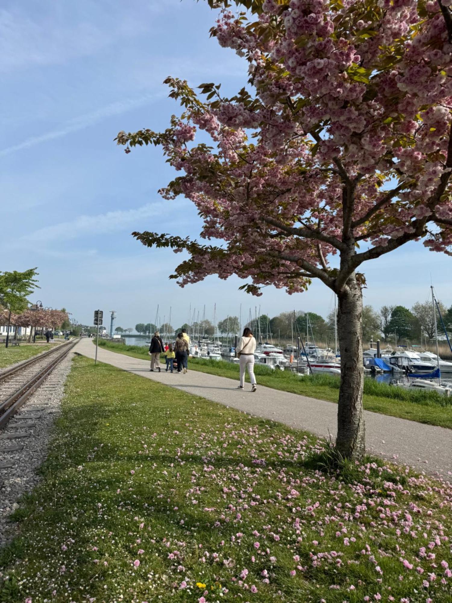 Gite Du Flot - Baie De Somme Boismont  المظهر الخارجي الصورة